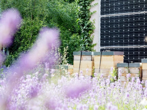 Boutiquehotel Stadthalle image 9