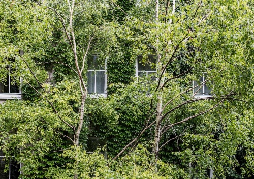 Boutiquehotel Stadthalle image 15